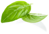 Farm-to-table cuisine